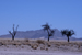 namibia 039